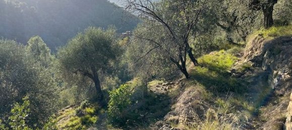 Земельный участок 10000м² в Кампороссо, Италия № 131441 6