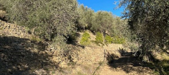 Земельный участок 10000м² в Кампороссо, Италия № 131441 12