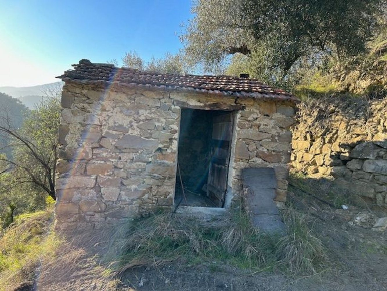 Земельный участок 10000м² в Кампороссо, Италия № 131441