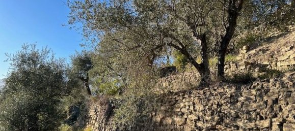 Земельный участок 10000м² в Кампороссо, Италия № 131441 14