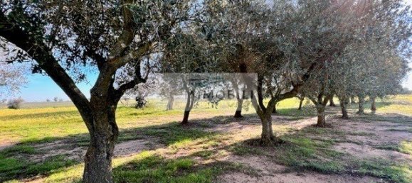 Terrain à Carovigno, Italy 100m² No. 129464 28