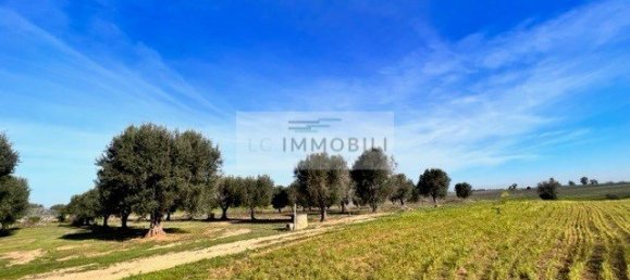 Terrain à Carovigno, Italy 100m² No. 129464 3