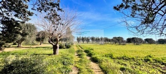 Terrain à Carovigno, Italy 100m² No. 129464 6