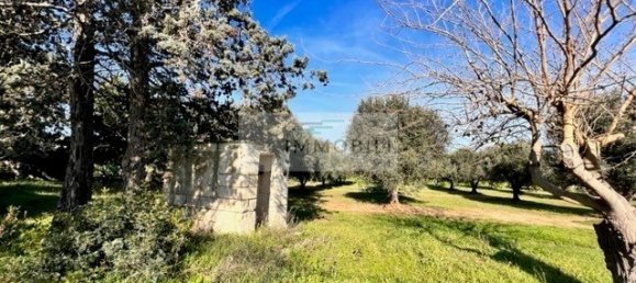 Terrain à Carovigno, Italy 100m² No. 129464 21