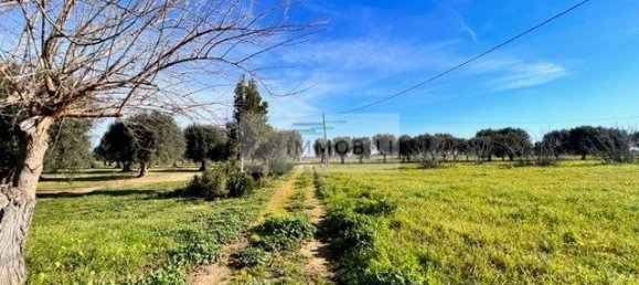 Terrain à Carovigno, Italy 100m² No. 129464 5