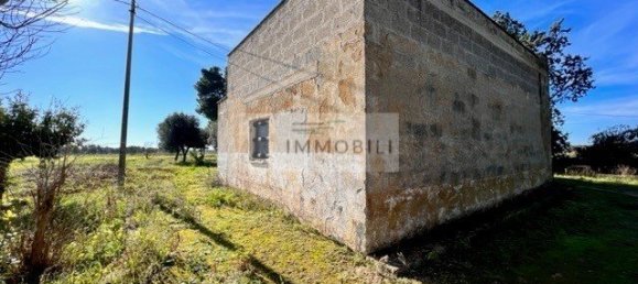 Terrain à Carovigno, Italy 100m² No. 129464 14