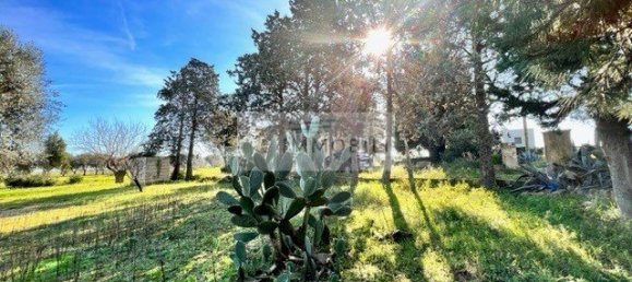 Terrain à Carovigno, Italy 100m² No. 129464 25