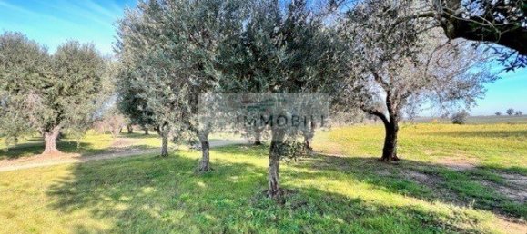 Terrain à Carovigno, Italy 100m² No. 129464 27