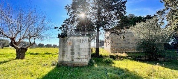 Terrain à Carovigno, Italy 100m² No. 129464 23