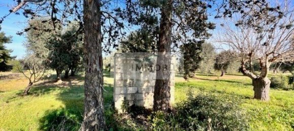 Terrain à Carovigno, Italy 100m² No. 129464 20