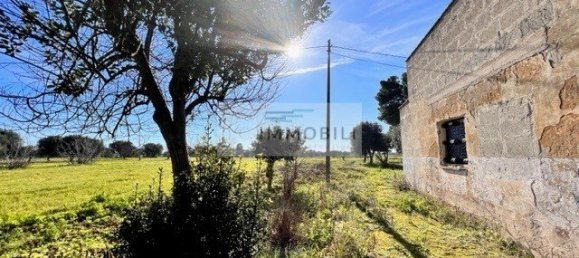 Terrain à Carovigno, Italy 100m² No. 129464 13