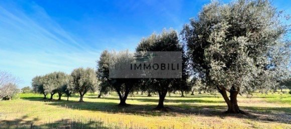 Terrain à Carovigno, Italy 100m² No. 129464 26