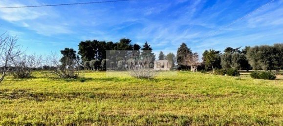 Terrain à Carovigno, Italy 100m² No. 129464 8