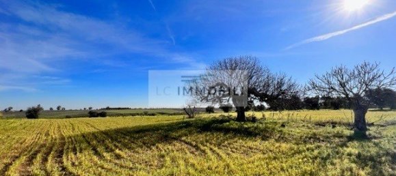 Terrain à Carovigno, Italy 100m² No. 129464 31