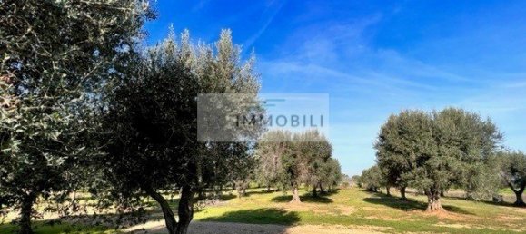 Terrain à Carovigno, Italy 100m² No. 129464 30