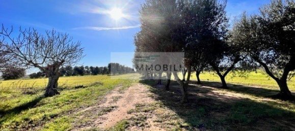 Terrain à Carovigno, Italy 100m² No. 129464 29