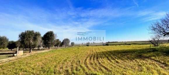 Terrain à Carovigno, Italy 100m² No. 129464 2