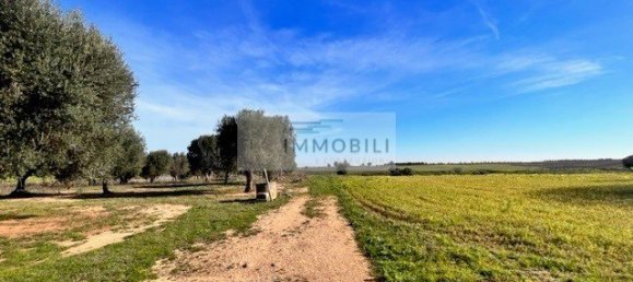 Terrain à Carovigno, Italy 100m² No. 129464 4