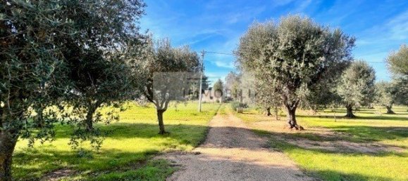 Terrain à Carovigno, Italy 100m² No. 129464 7