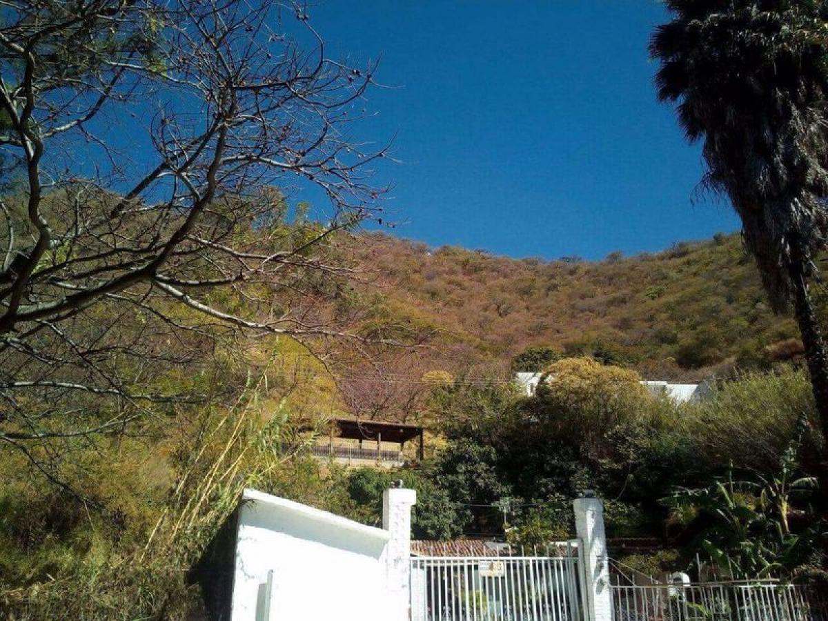 Terreno em Heroica Matamoros, Mexico N.º 206801