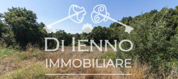 Grundstück in Sacrofano, Italy 50000m², Nr. 293841 12