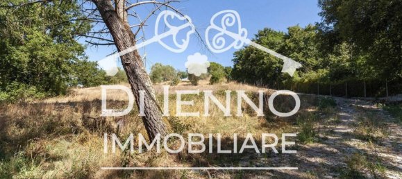 Grundstück in Sacrofano, Italy 50000m², Nr. 293841 10