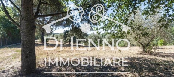 Grundstück in Sacrofano, Italy 50000m², Nr. 293841 2