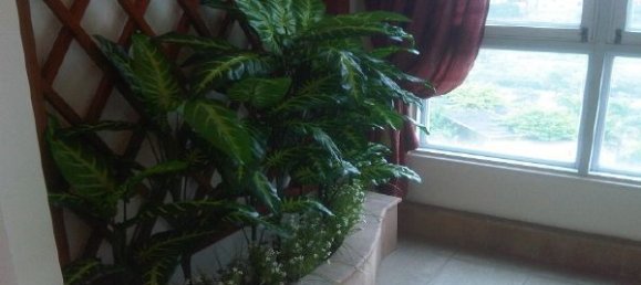 4 bedrooms Apartment in Nam Tu Liem, Vietnam No. 6725 2