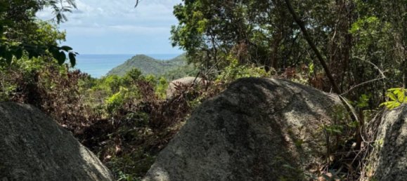  Commercial property in Surat Thani, Thailand No. 23512 8