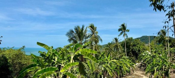  Commercial property in Surat Thani, Thailand No. 23512 4