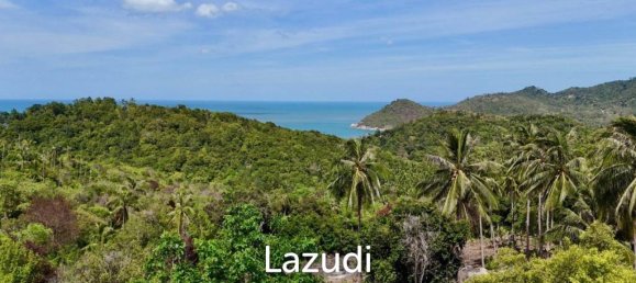  Commercial property in Surat Thani, Thailand No. 23512 2