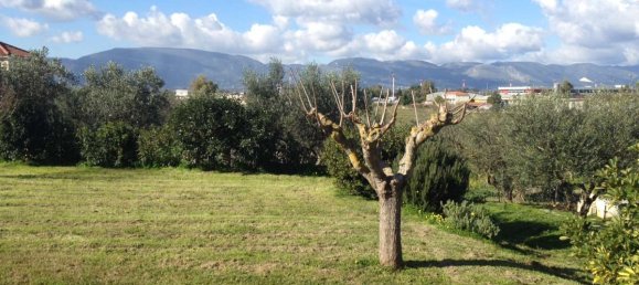 Propiedad comercial de 3 dormitorios en Zakynthos, Greece No. 8525 3