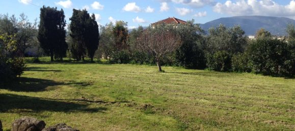 Propiedad comercial de 3 dormitorios en Zakynthos, Greece No. 8525 15