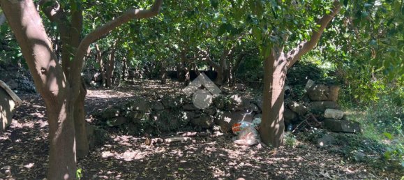 Земельный участок 6044м² в Джарре, Италия № 287910 19