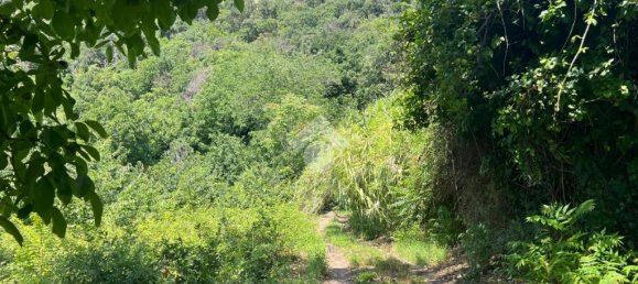 Земельный участок 6044м² в Джарре, Италия № 287910 23