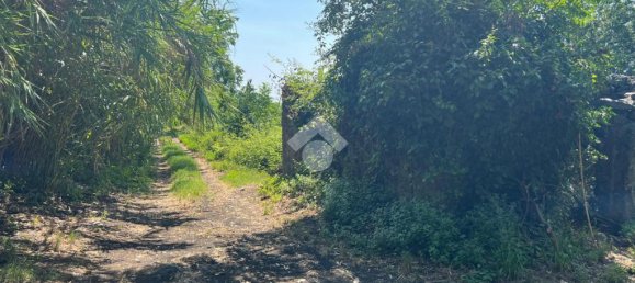 Земельный участок 6044м² в Джарре, Италия № 287910 26