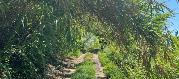 Земельный участок 6044м² в Джарре, Италия № 287910 24