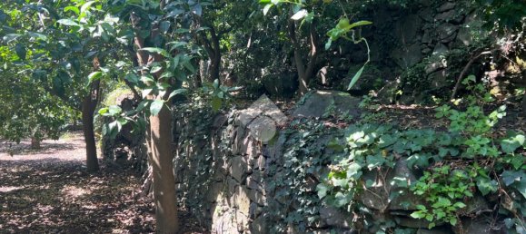 Земельный участок 6044м² в Джарре, Италия № 287910 25