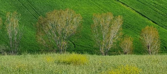 Villa de 4 dormitorios en Appignano, Italy No. 111713 6