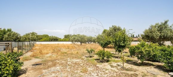 2 غرف نوم منزل في Palmela, Portugal رقم 195059 29