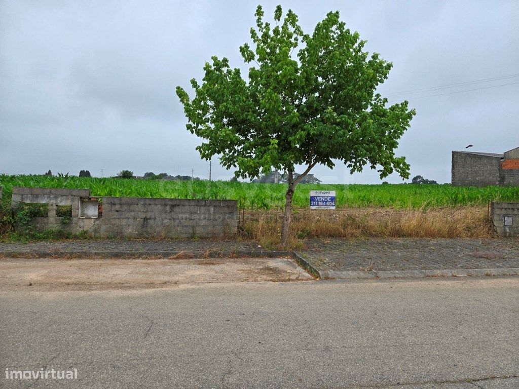 Земельный участок 2360м² в Оливейринья, Португалия № 191518