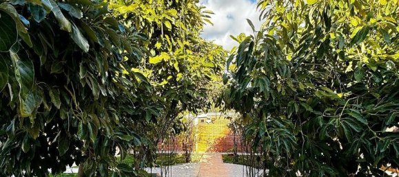 4 bedrooms Villa in Periana, Spain No. 226741 17