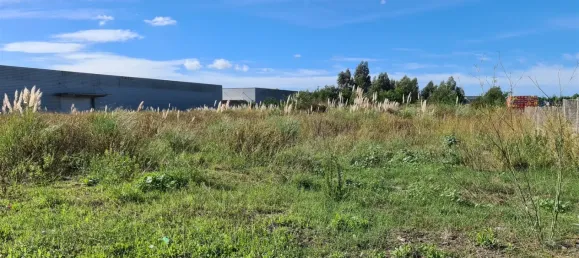 Grundstück in Ovar, Portugal, Nr. 72405 2