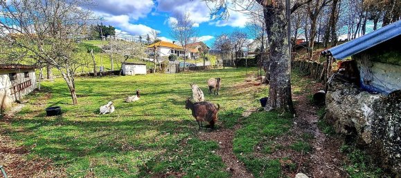 2 bedrooms House in Vieira do Minho, Portugal No. 167723 22