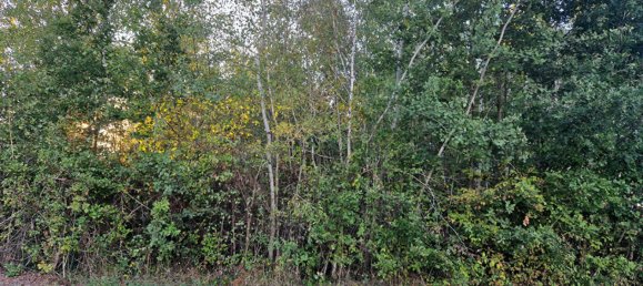 Grundstück in Billy, France, Nr. 89004 3