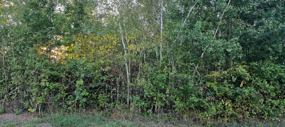 Grundstück in Billy, France, Nr. 89004 4