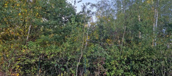 Grundstück in Billy, France, Nr. 89004 2