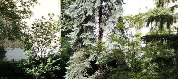 Apartamento de 2 divisões em Vienna, Austria N.º 150117 2