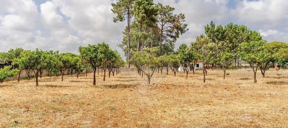 Casa T5 em Quinta do Conde, Portugal N.º 245161 48