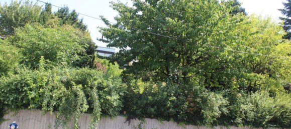 Bungalow de 6 habitaciónes en Oberwart, Austria No. 245487 19